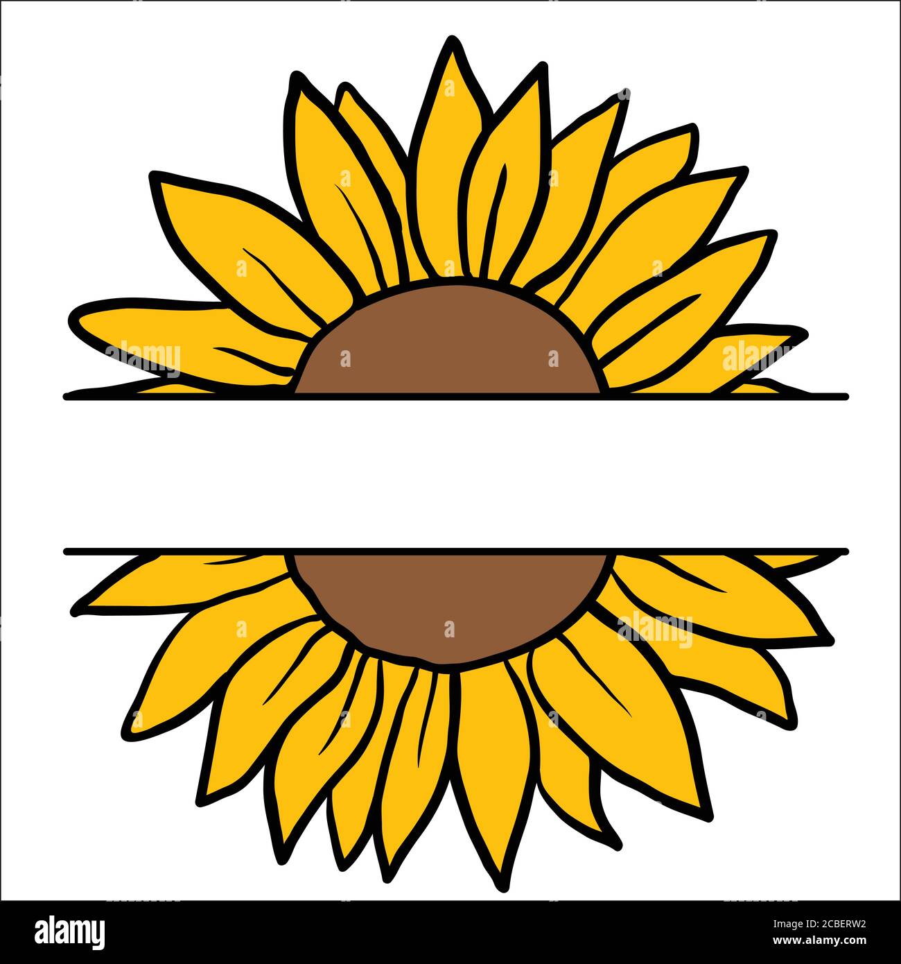 Vector image of hand drawn sunflowers Stock Vector Image & Art - Alamy