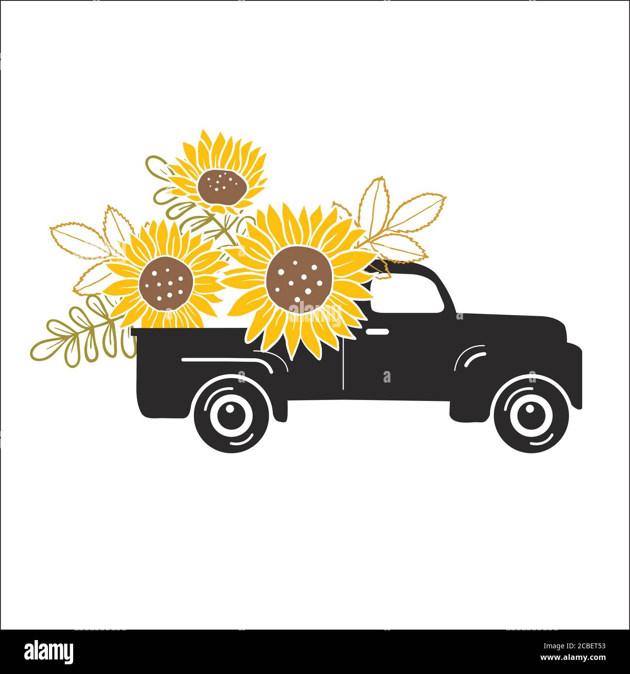 Vector image of hand drawn sunflowers Stock Vector Image & Art - Alamy
