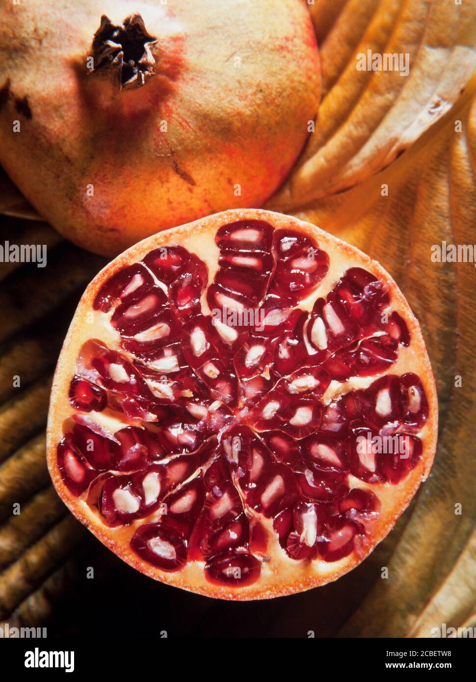 Pomegranate fruit, Punica granatum. Native to the Iran area Stock Photo