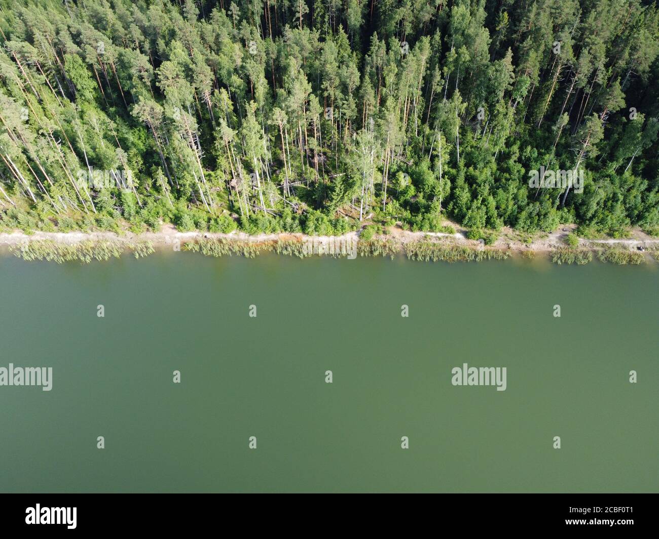 woodland on the shore of a reservoir on a summer day aerial photo Stock Photo