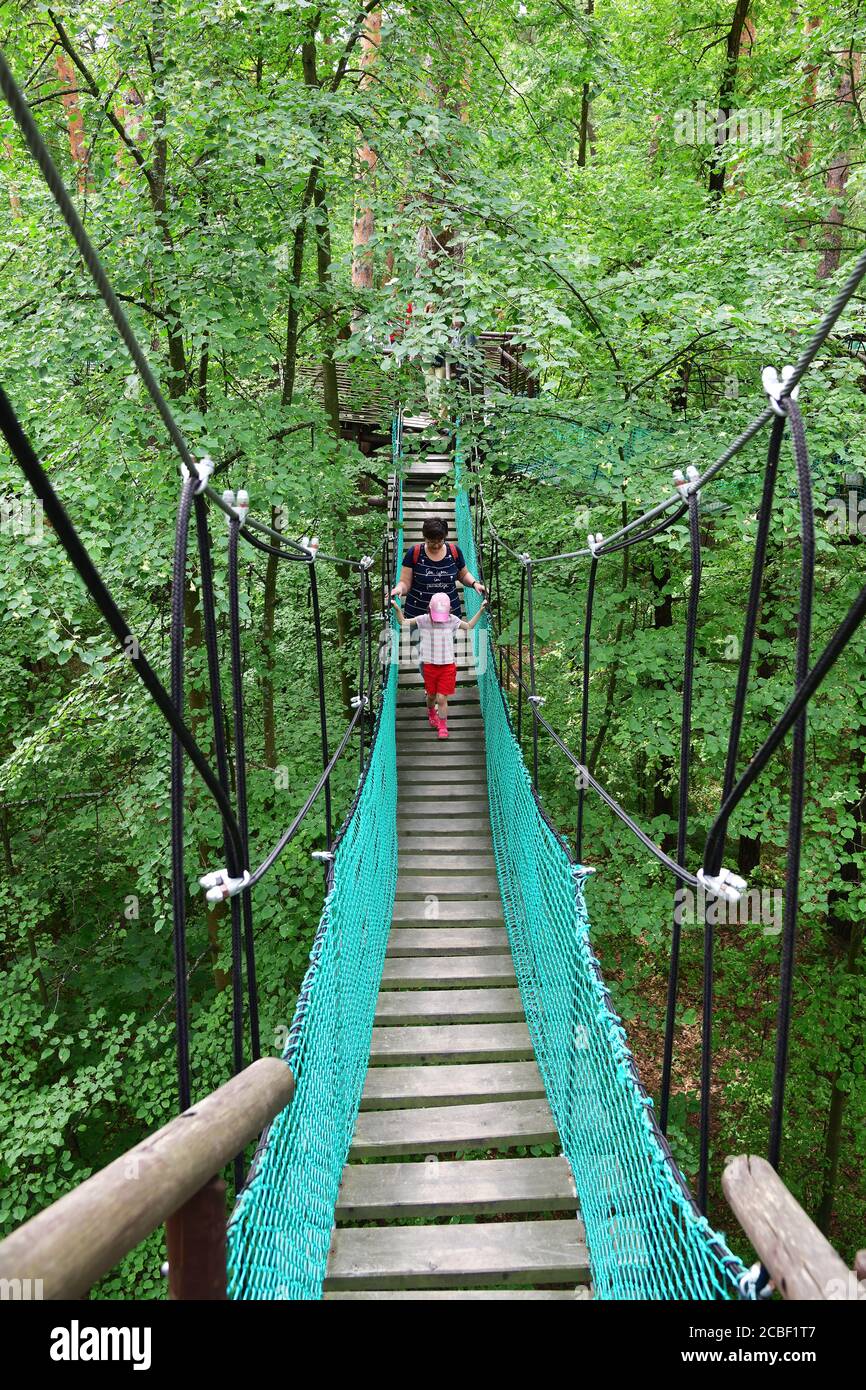Forest Rope Bridge Hike High Resolution Stock Photography and Images
