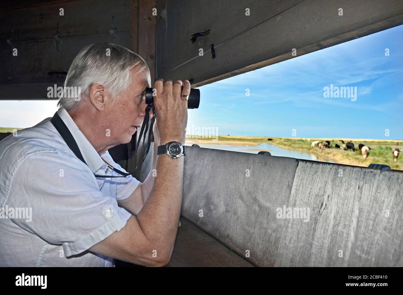 older man in  wildlife hide watching birds through binoculars Stock Photo