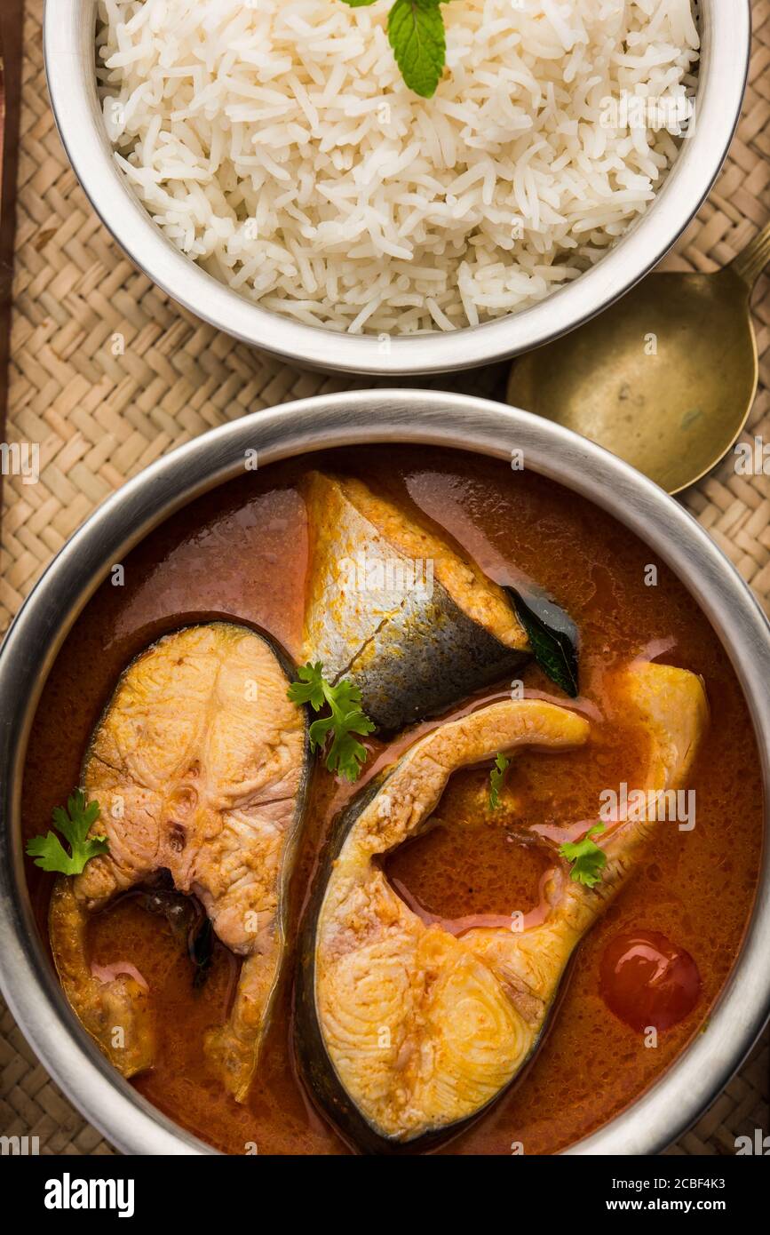 Spicy Fish Curry kerala, konkan, bengal, goa style in Red and brown