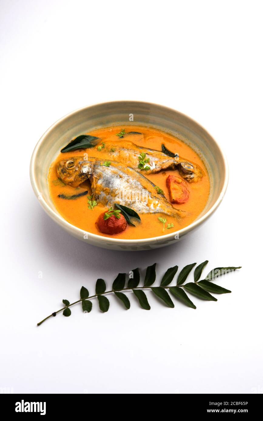 Spicy Fish Curry kerala, konkan, bengal, goa style in Red and brown