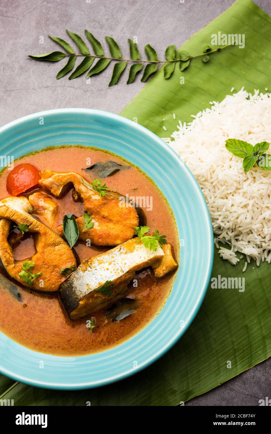 Spicy Fish Curry kerala, konkan, bengal, goa style in Red and brown