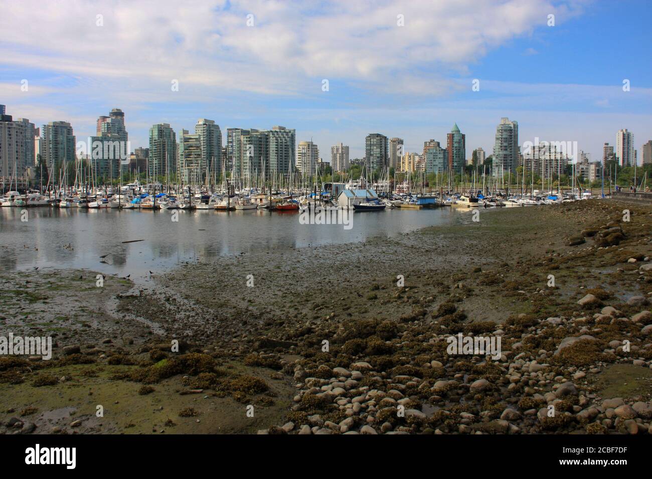 Vancouver yacht basin, Canada Stock Photo