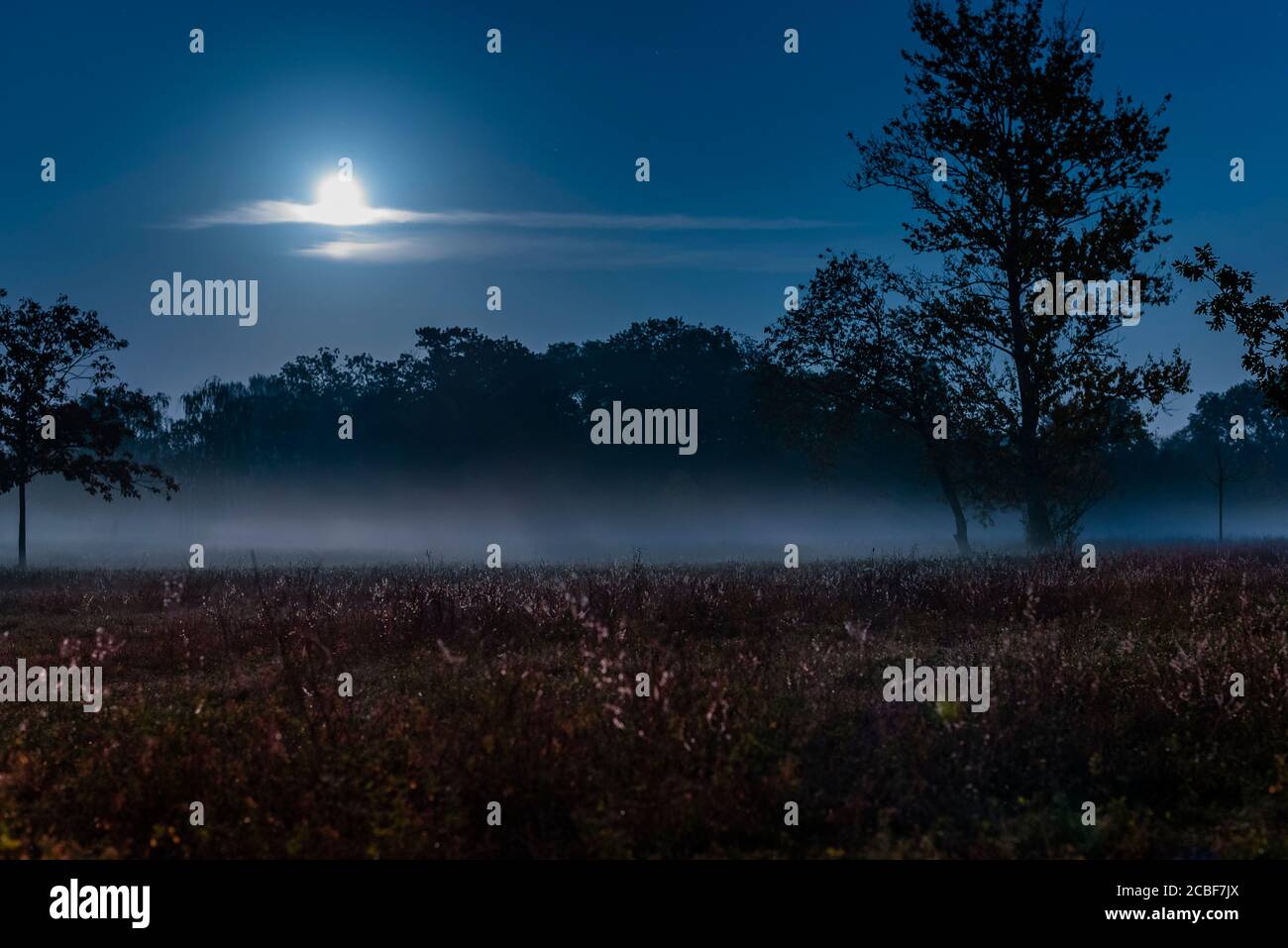 Foggy Field Night Moon High Resolution Stock Photography and Images - Alamy