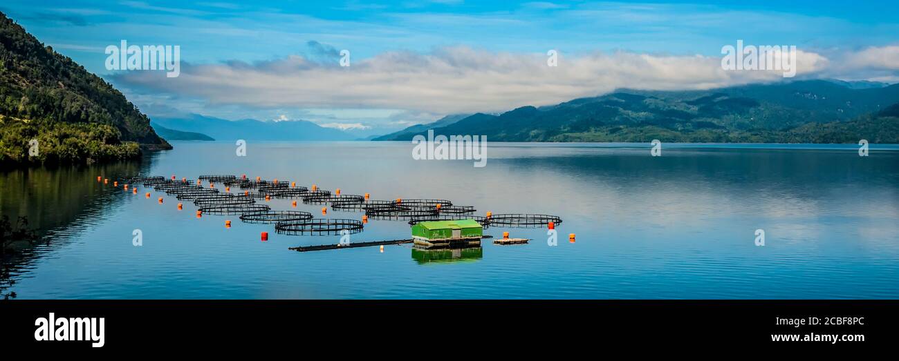 Chile, Salmon farm in one of the fjords in southern Chile along the Carretera Austral Stock Photo