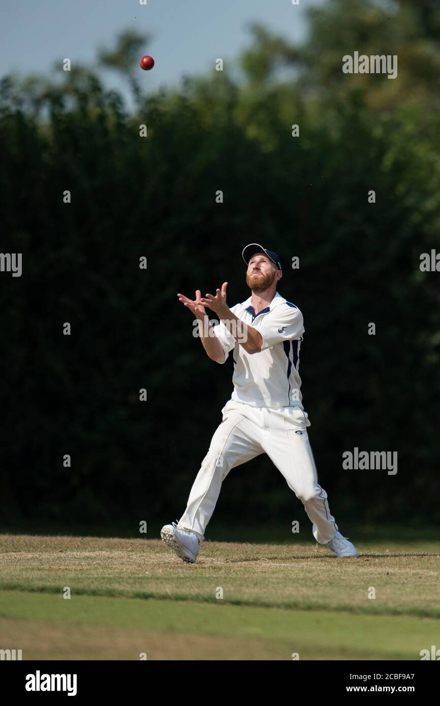 Cricket player catching cricket ball Stock Photo