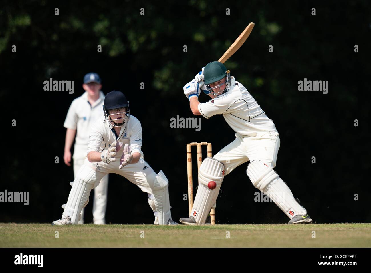 Batsman playing shot. Stock Photo