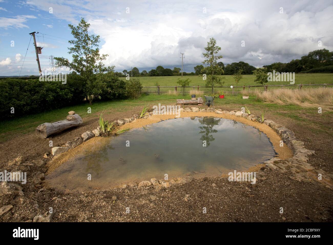 Recently constructed large garden pond with butyl liner, Cotswolds, UK Stock Photo
