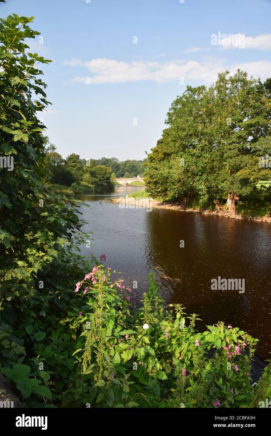 The river Ribble at Sawley Lancashire in early morning summer sunshine