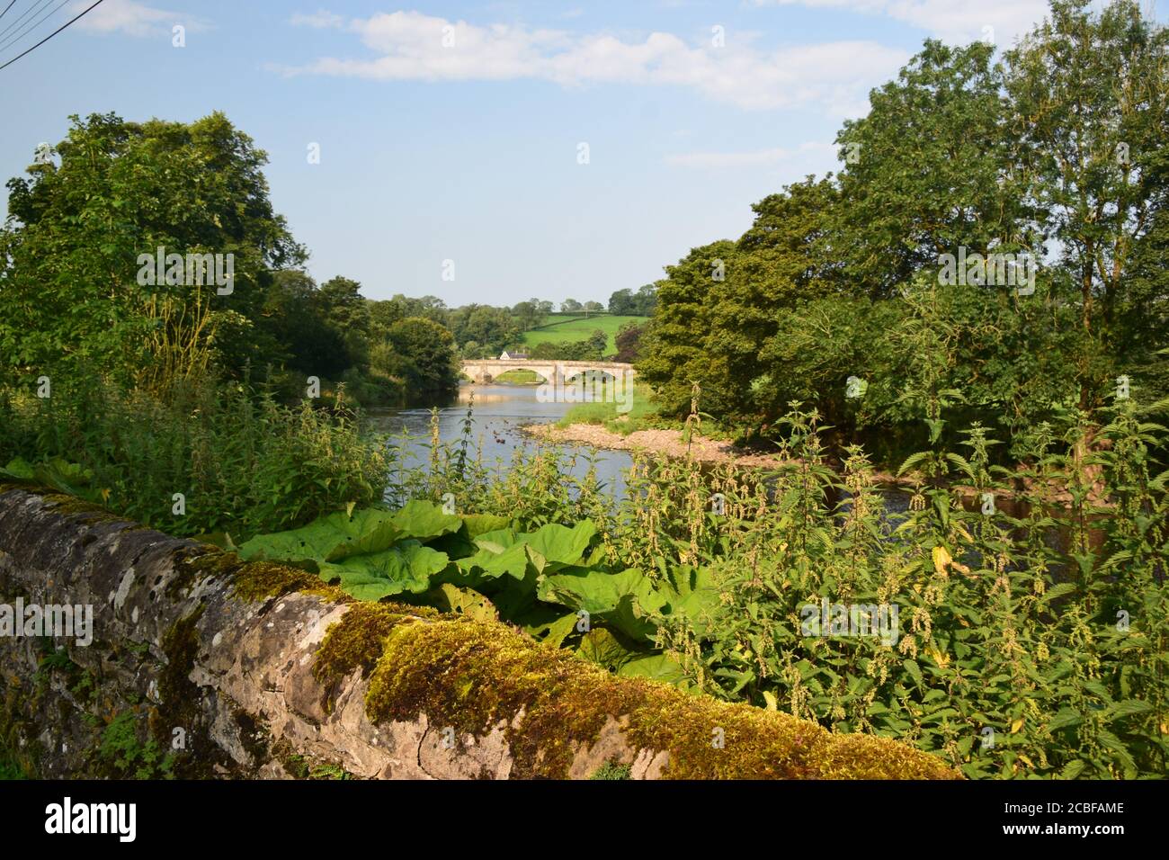 The river Ribble at Sawley Lancashire in early morning summer sunshine