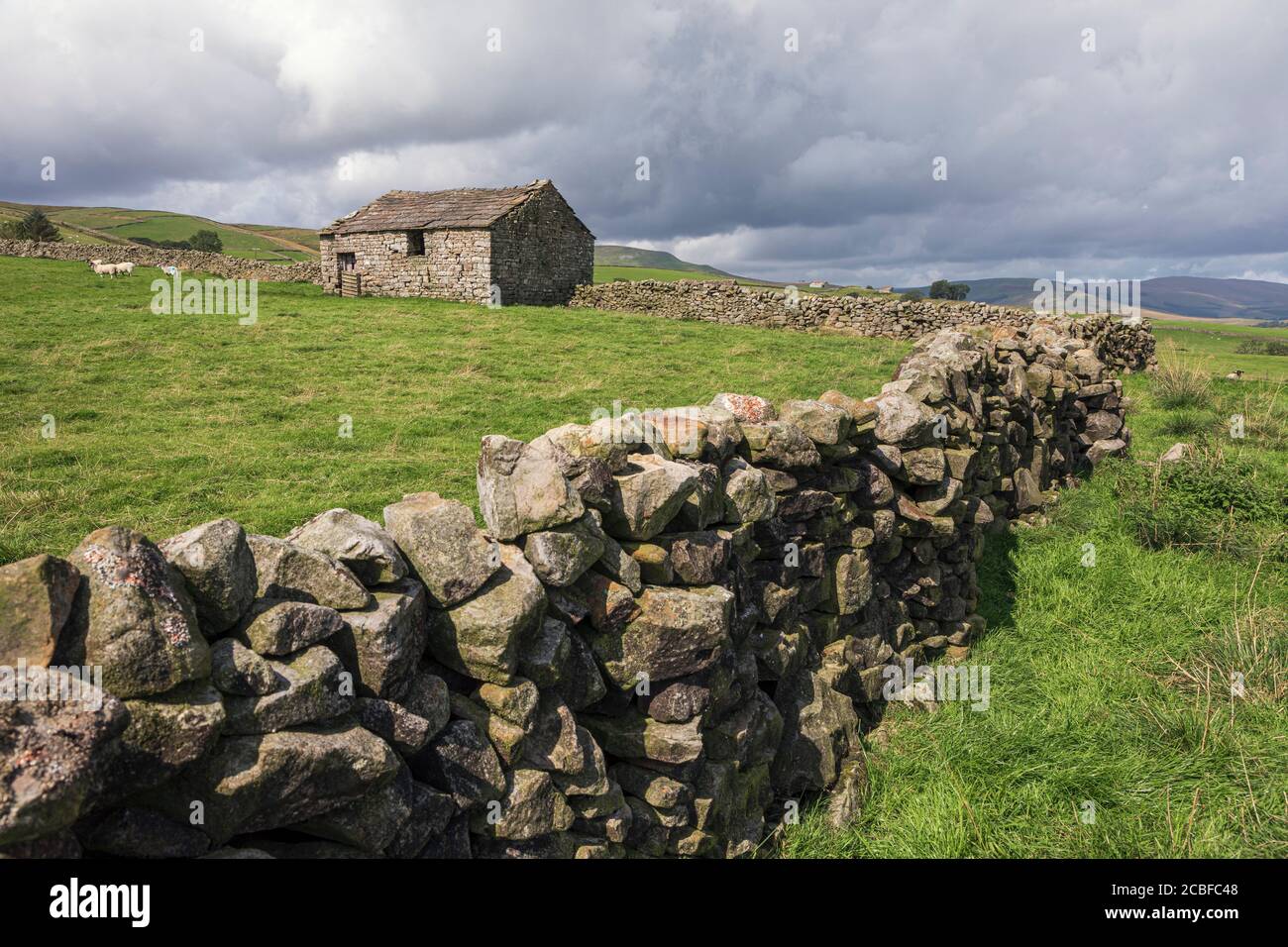 Typical Yorkshire dales landscape with dry stone wall and field barn, near Hawes, North Yorkshire Stock Photo