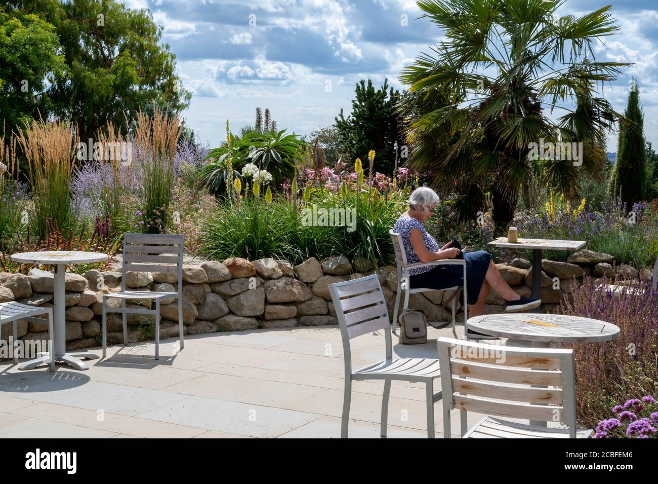Woman sitting alone at social distanced tables, in the Gradeners Rest restaurant RHS Hyde Hall. Stock Photo
