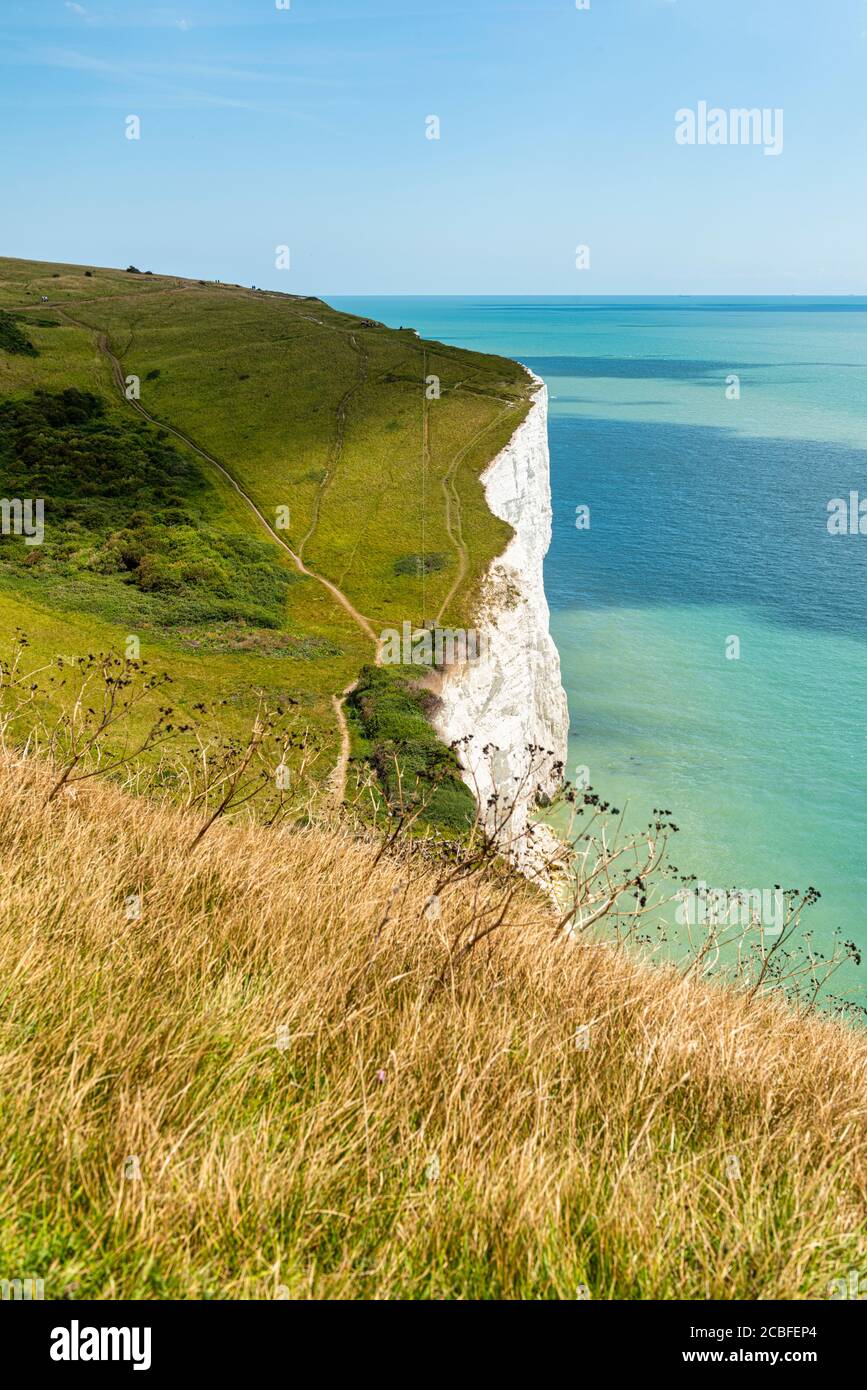 The White Cliffs of Dover and the English Channel in Kent, England