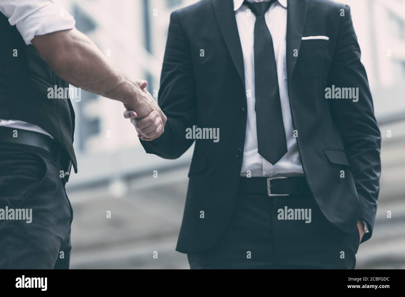 Businessmen making handshake for dealing business project agree concept Stock Photo