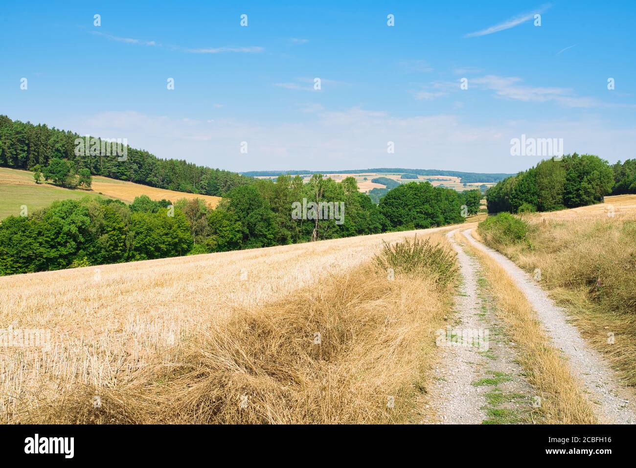 gravel road through fields in hilly landscape on sunny summer day Stock Photo