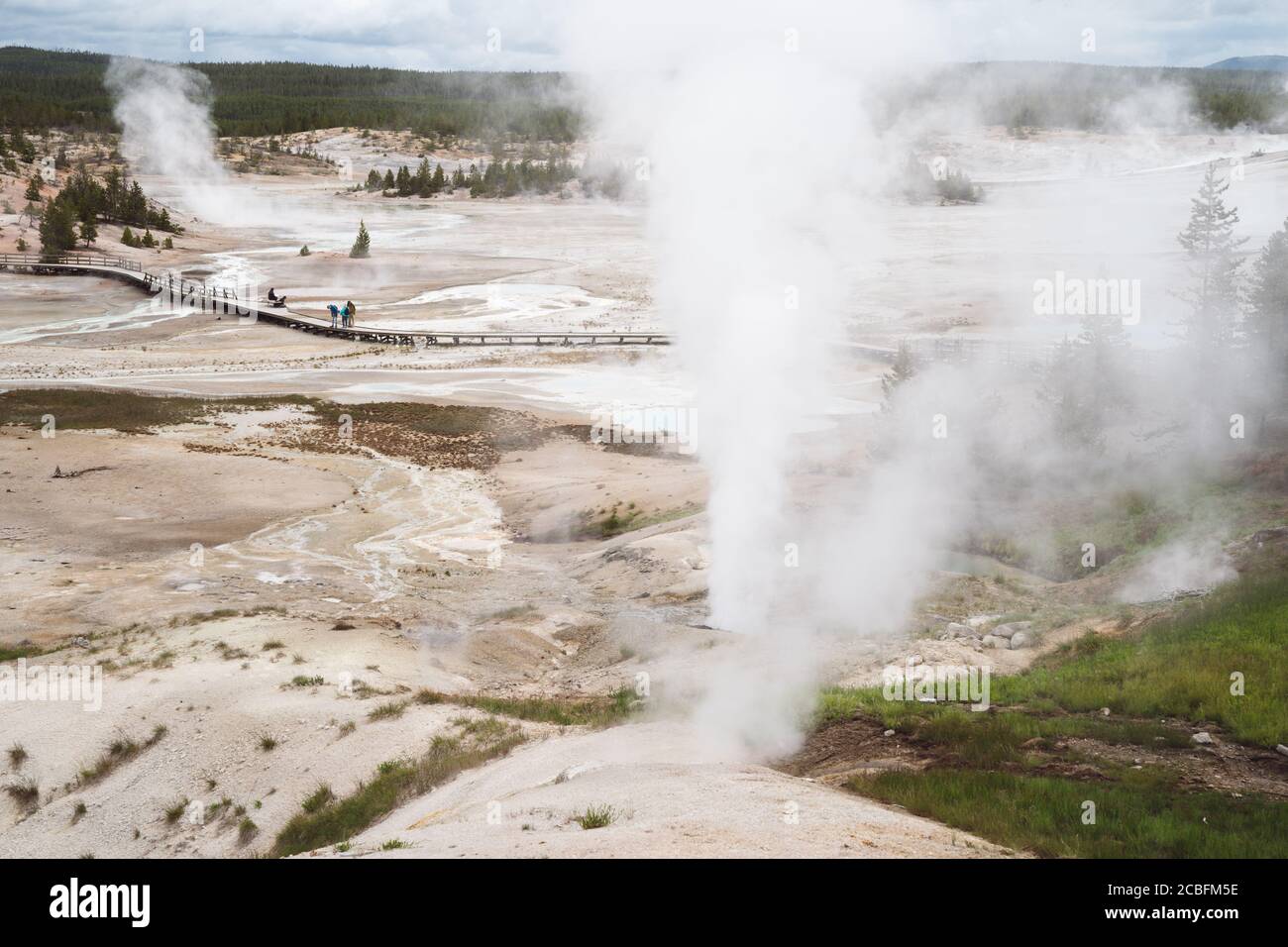 Erupting geysers and hot springs and thermal features in Norris Geyser ...
