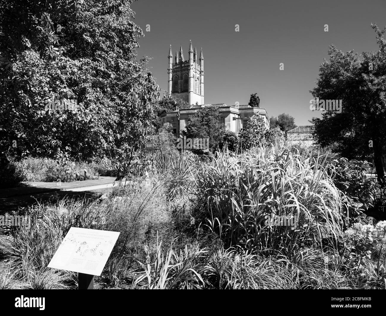 Black and White Landscape of Magdalen Tower, with University of Oxford Botanical Gardens, Oxford, Oxfordshire, England, UK, GB. Stock Photo