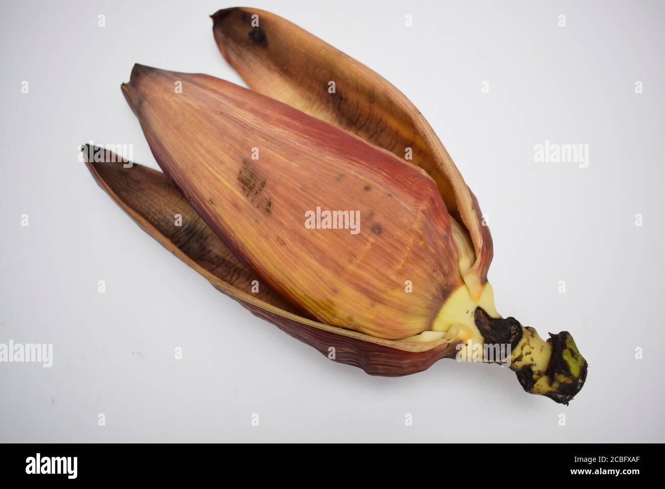 Raw Banana flower opened leaves on white background. Also known as