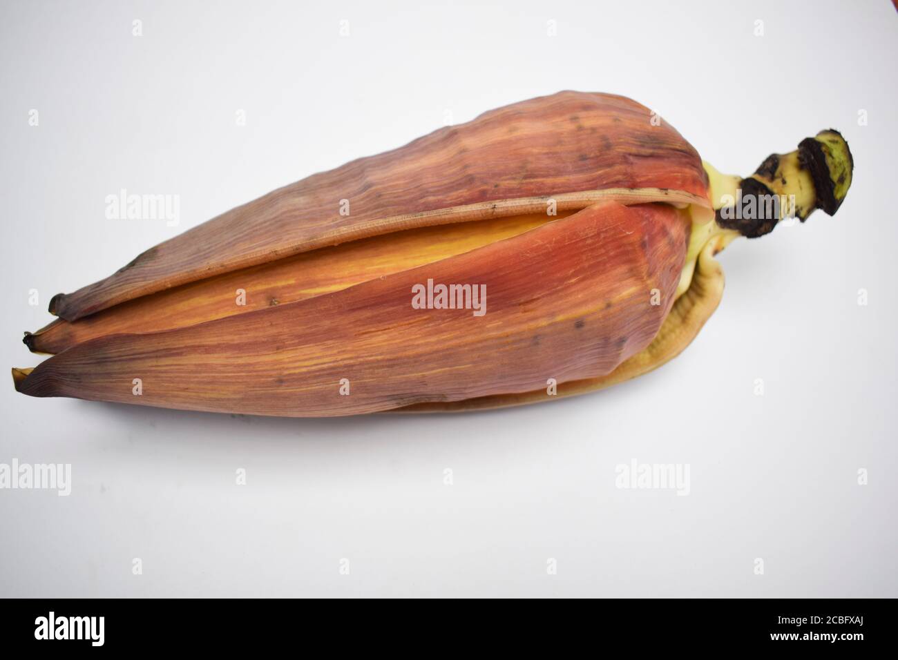 Single Banana flower isolated on white background from Asia Stock Photo