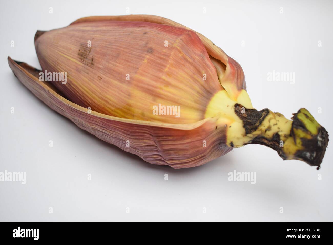 Raw Banana flower opened leaves on white background. Also known as banana blossoms eaten in cuisine cooked in South Asia Stock Photo