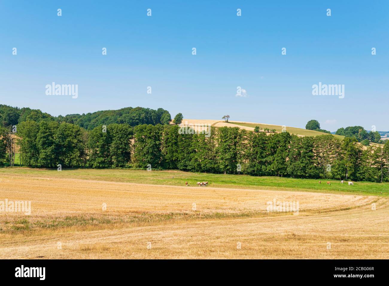 extensive hilly landscape with fields, meadows and forests in Rhoen Mountains region of Germany on clear summer day Stock Photo