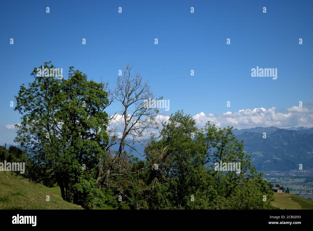 Mountain panorama in Appenzell in Switzerland Stock Photo - Alamy