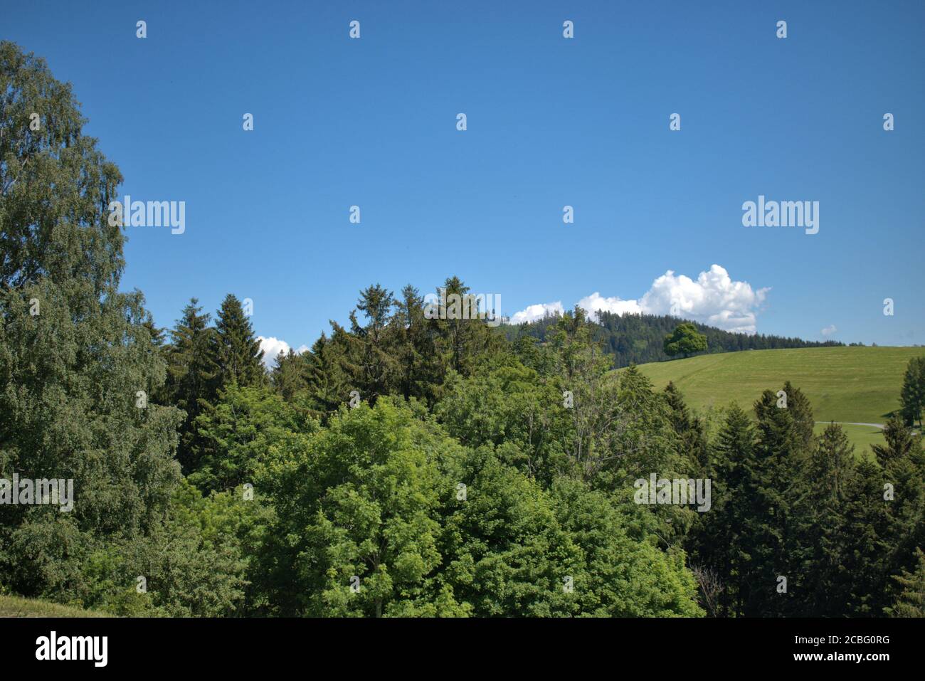Mountain panorama in Appenzell in Switzerland Stock Photo - Alamy