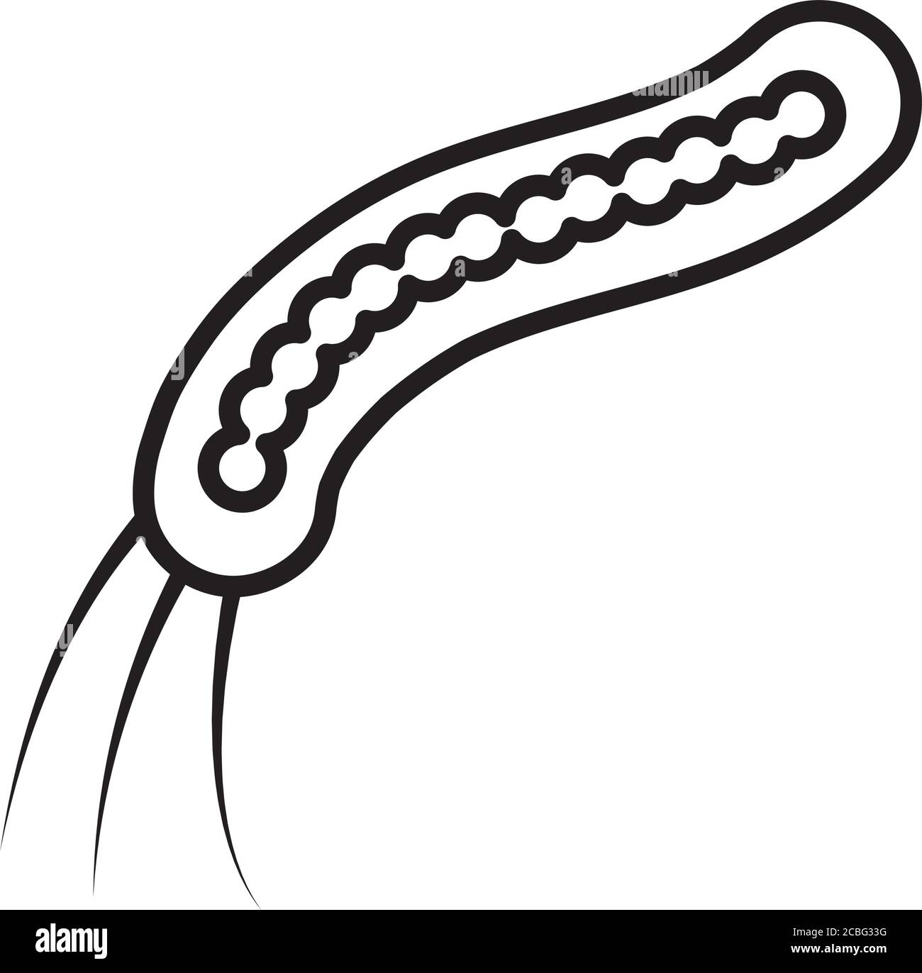 ebola filovirus icon over white background, line style, vector ...