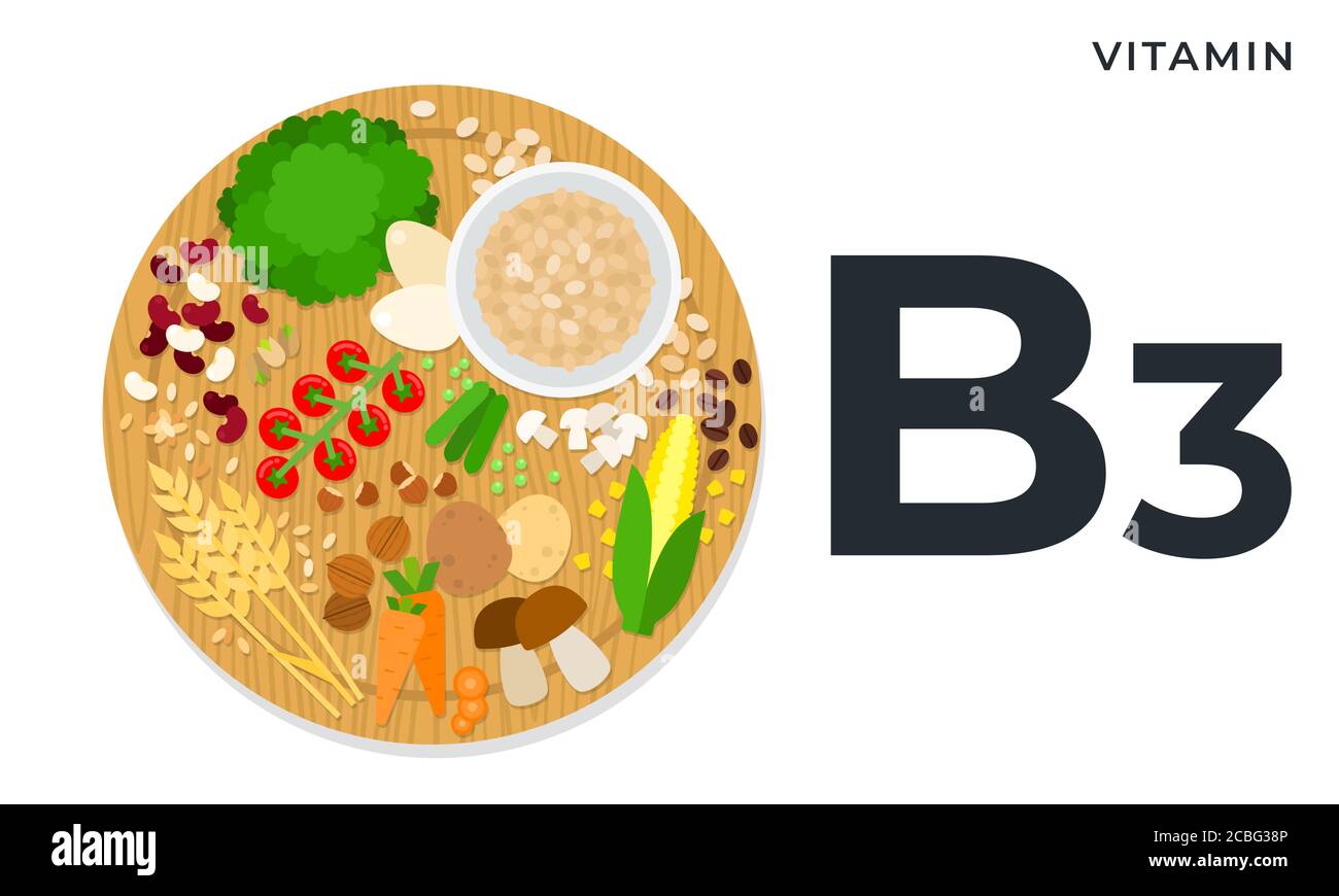 The nutritional components Vitamin B3 vector illustrations in flat style.  Products with the maximum content of vitamin B3 Stock Vector Image & Art -  Alamy