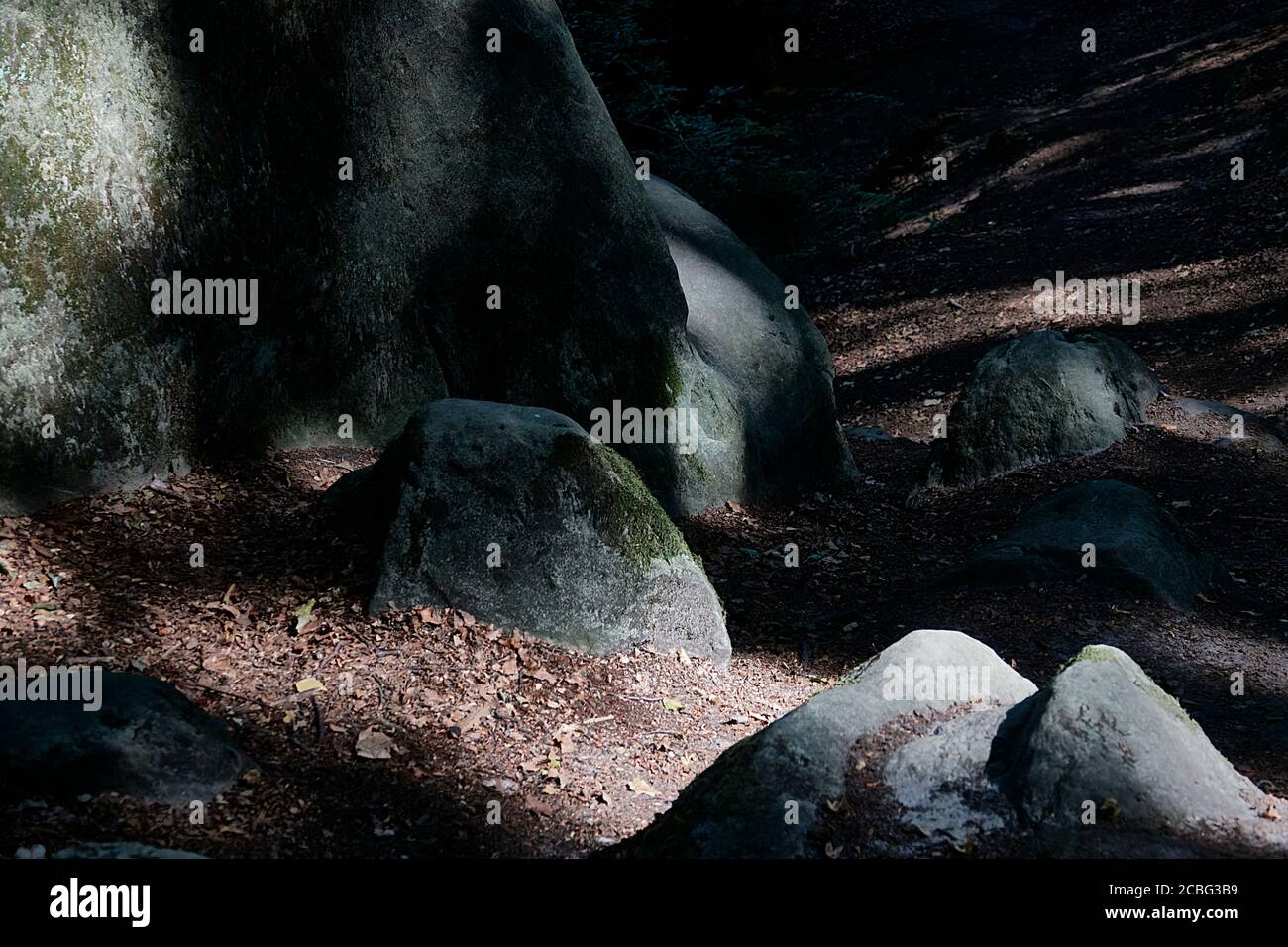 Dark sandstones protrude from the shady sunny forest floor Stock Photo