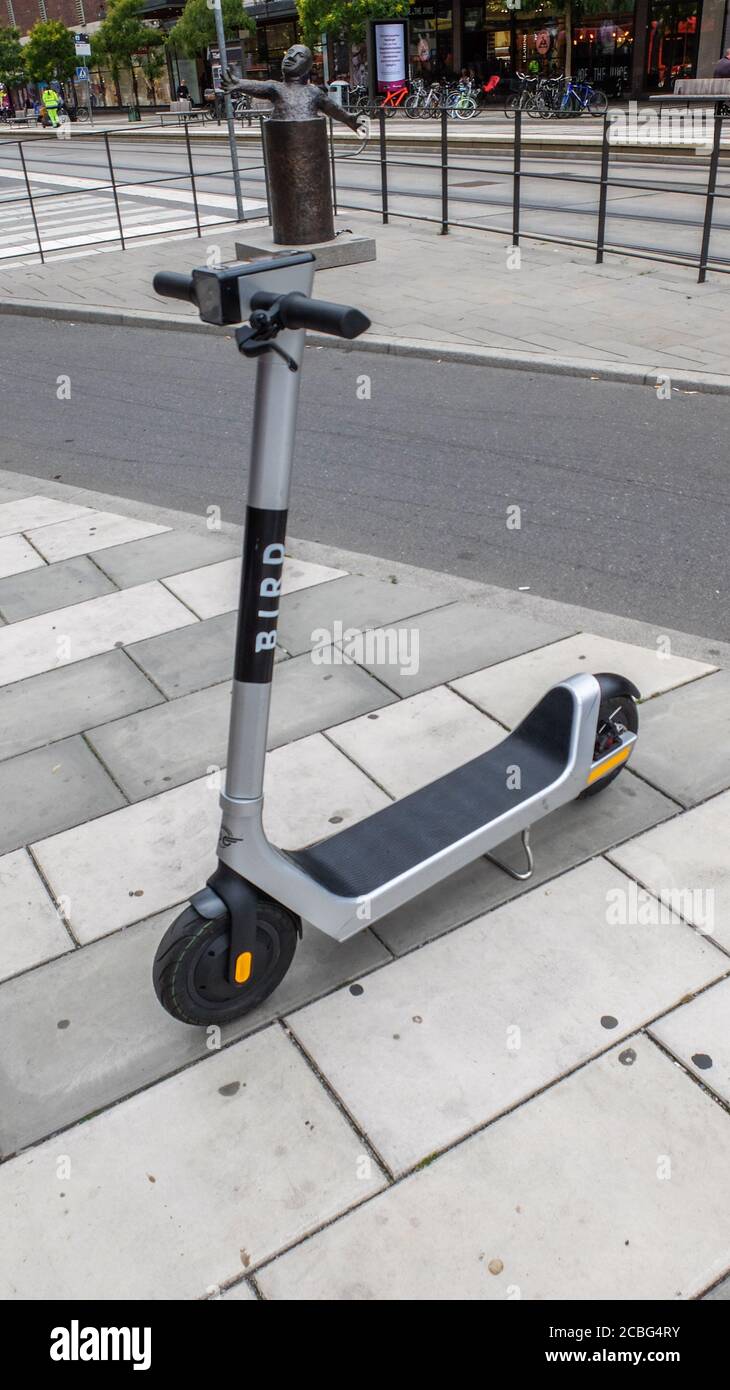 Bird electric scooter, urban vehicle Stock Photo Alamy