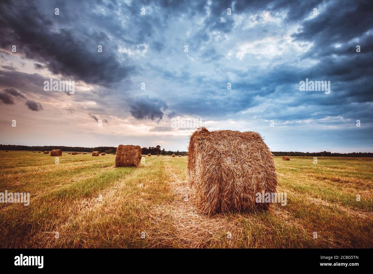Hay bales on the field at summer evening Stock Photo - Alamy