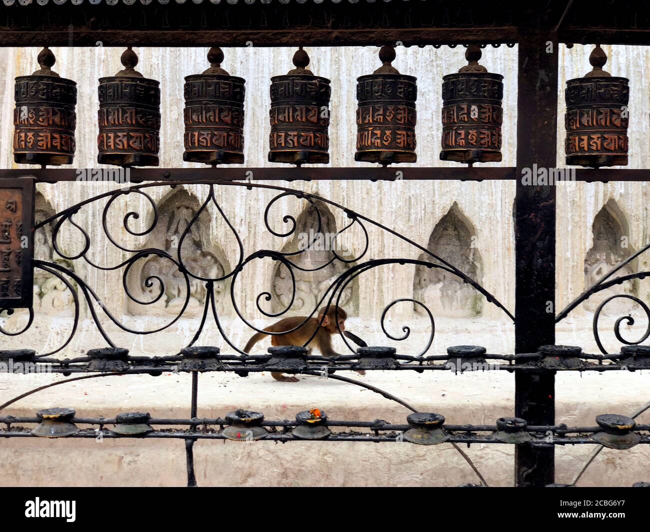 Baby Monkey and Prayer Wheels at Swayambhunath Temple Stock Photo
