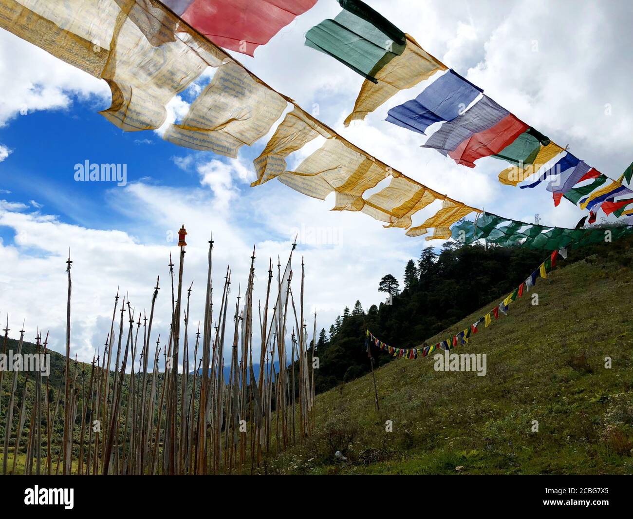 Prayer flags with mantras and prayers (for liberation from suffering ...