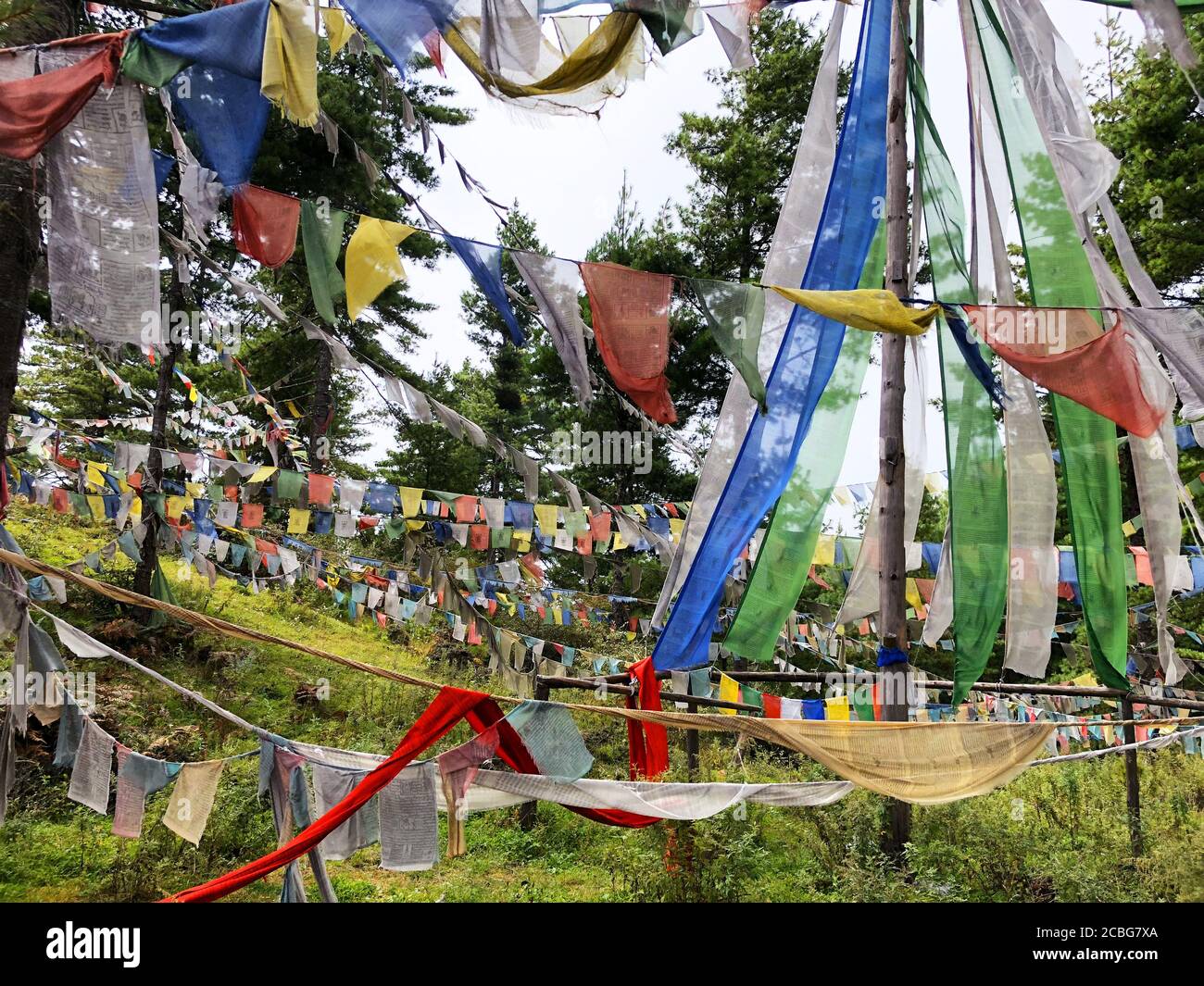 Prayer flags with mantras and prayers (for liberation from suffering ...