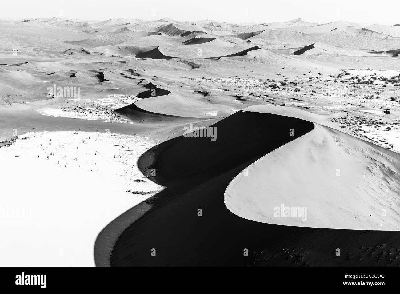 Curvy desert sand dunes and Deadvlei in morning light Stock Photo