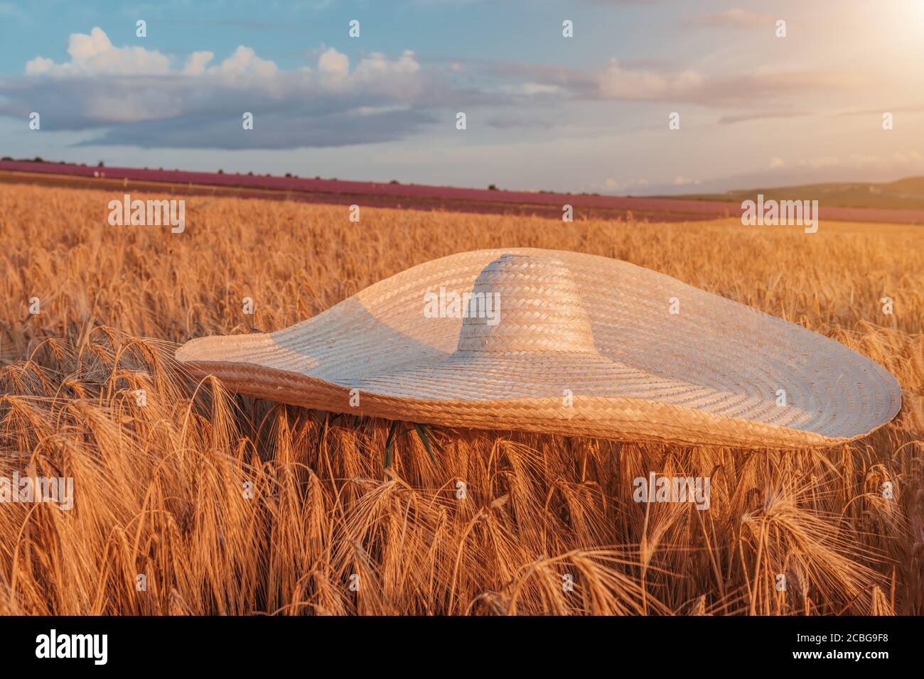 a huge straw hat on a wheat field at a beautiful sunset time - harvest ...