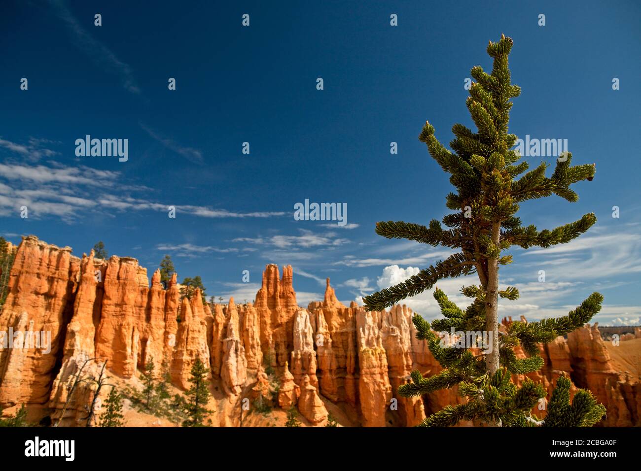 June 18, 2019 Bryce Canyon National Park Stock Photo