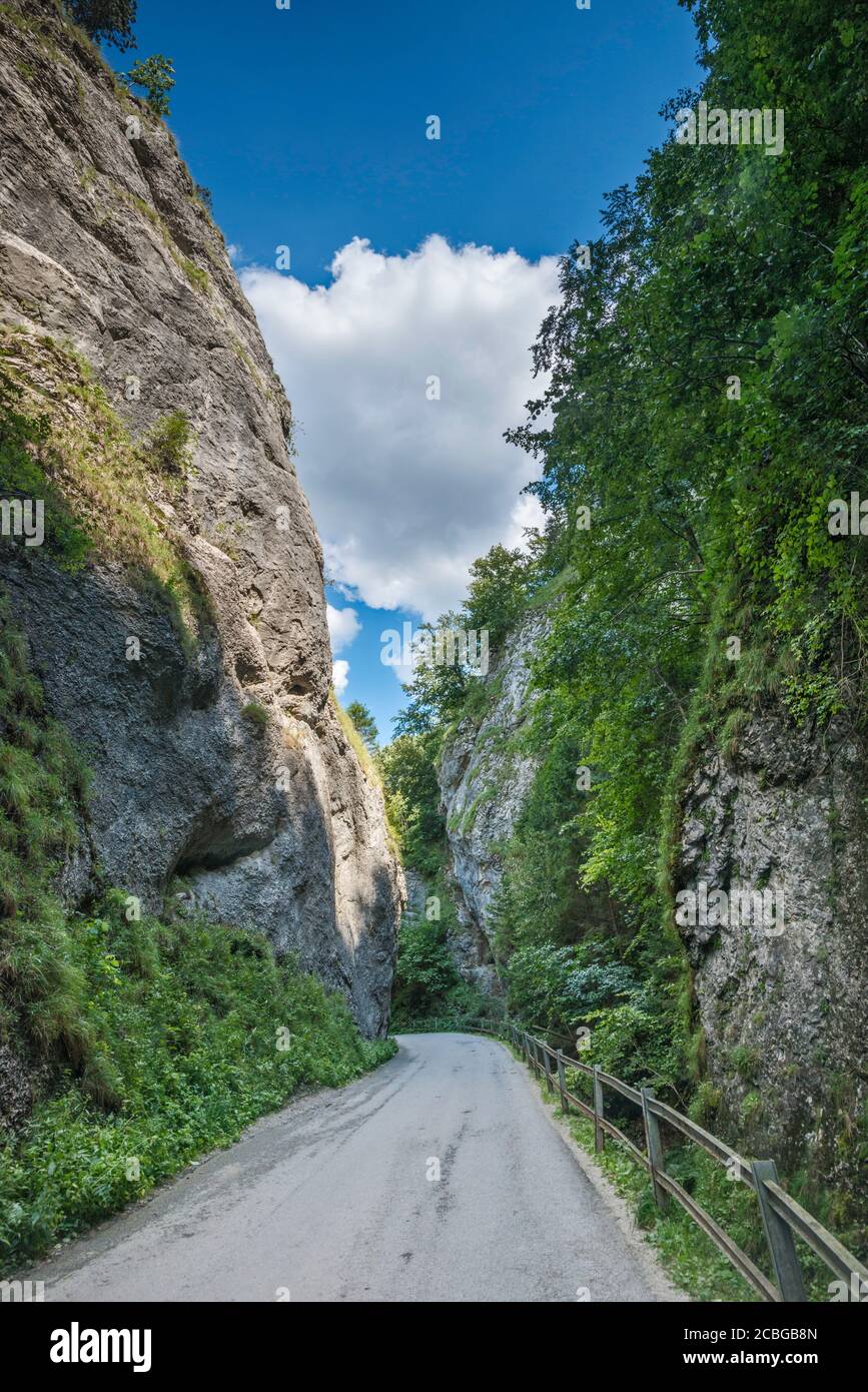 Limestone formations at Maninska Gorge, Strážov Mountains, near town of Považská Bystrica, Trencin Region, Slovakia Stock Photo