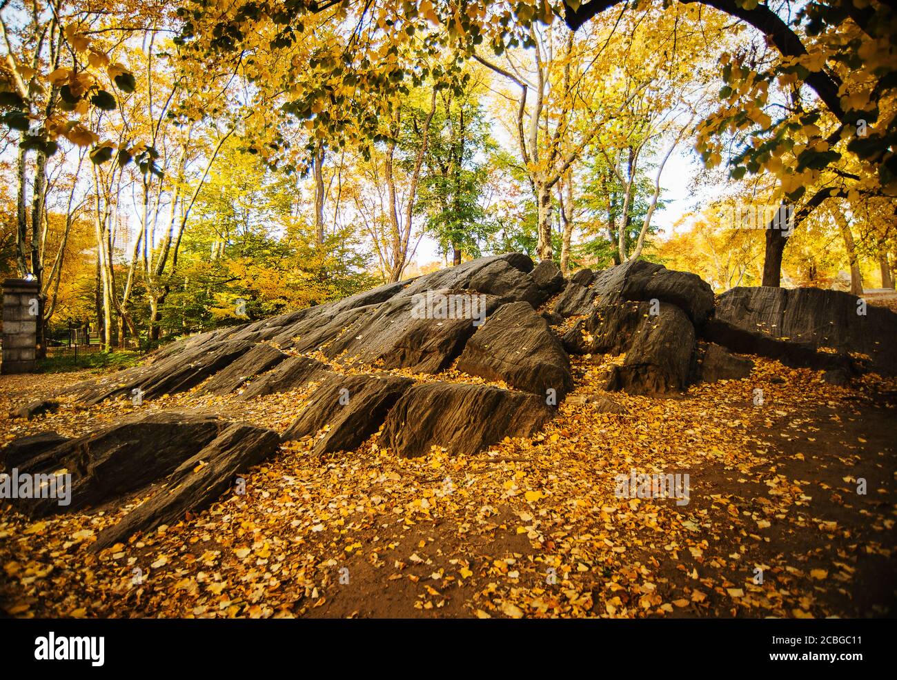 Autumn in Central Park, New York City Stock Photo - Alamy