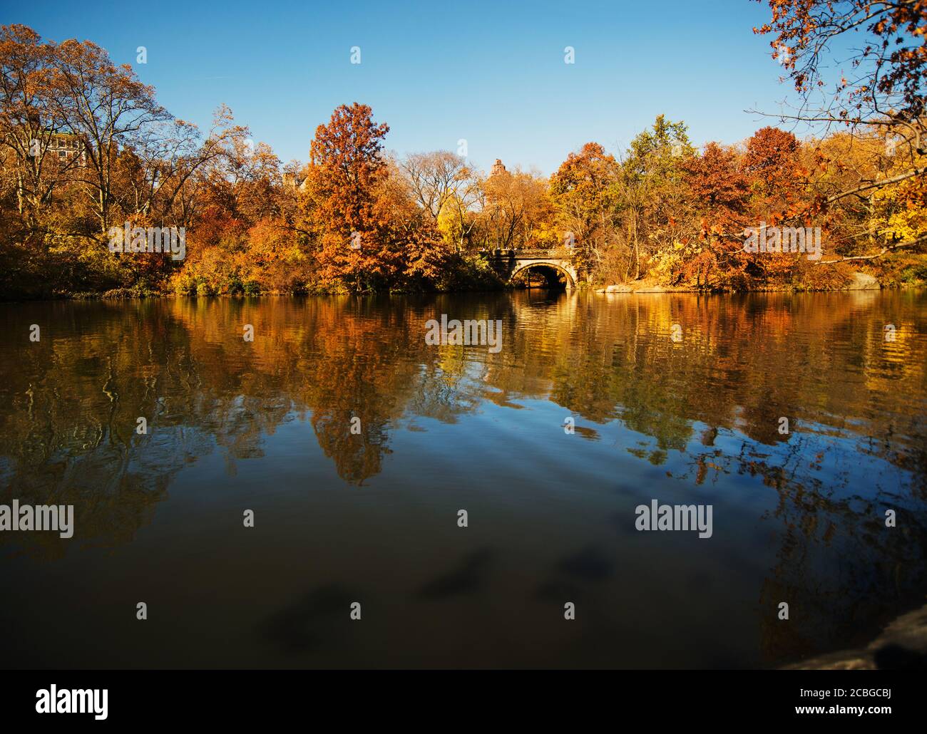 Beautiful park pond in city hi-res stock photography and images - Alamy