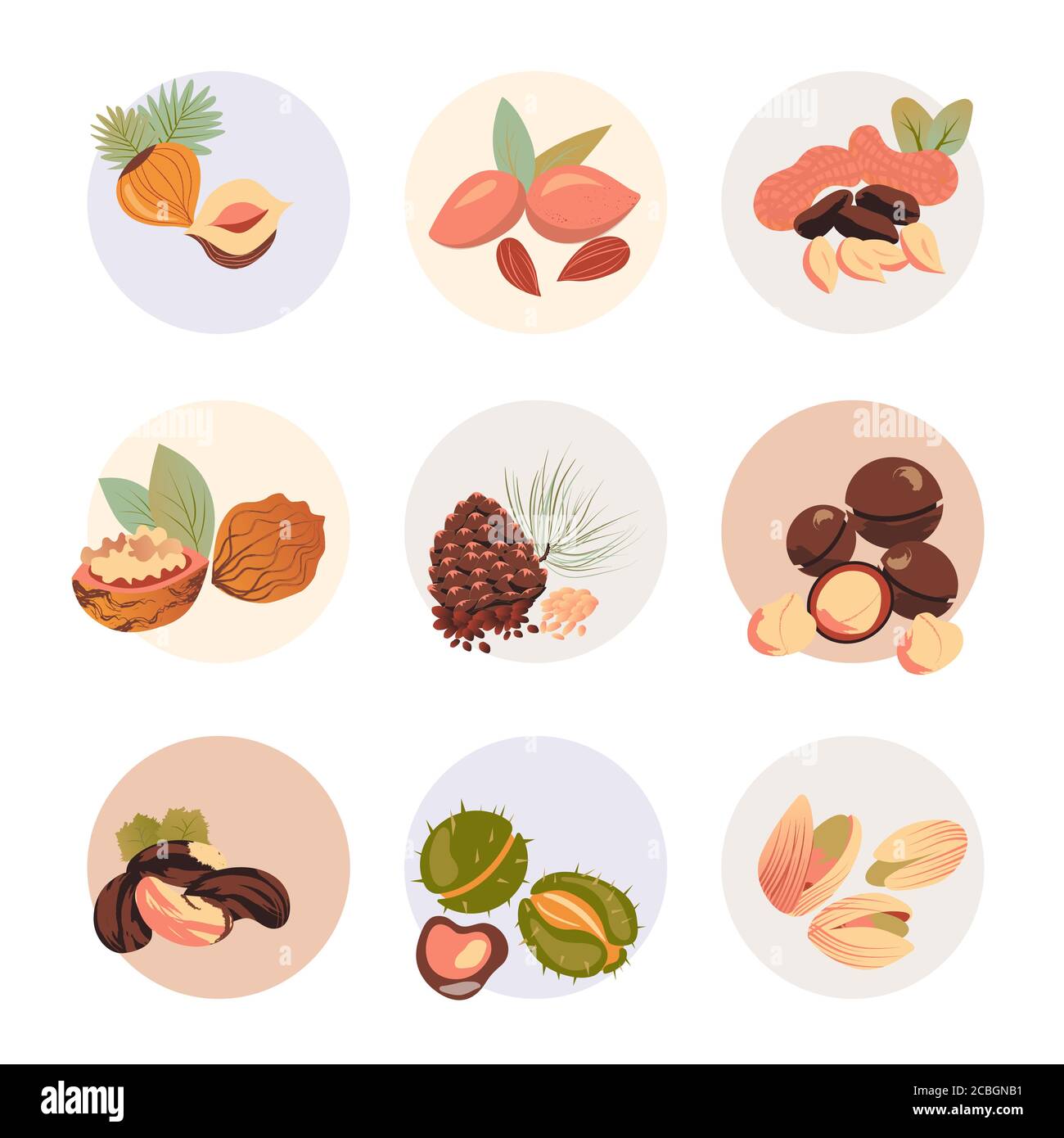 isolate set of nuts in circles on white background Stock Vector