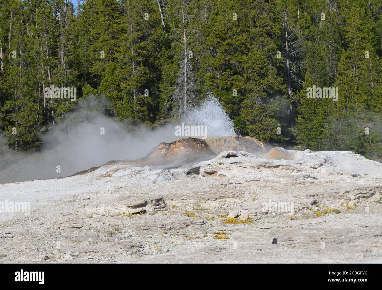 Late Spring in Yellowstone National Park: Bijou Geyser Plays in the Giant Geyser Complex in Upper Geyser Basin Stock Photo