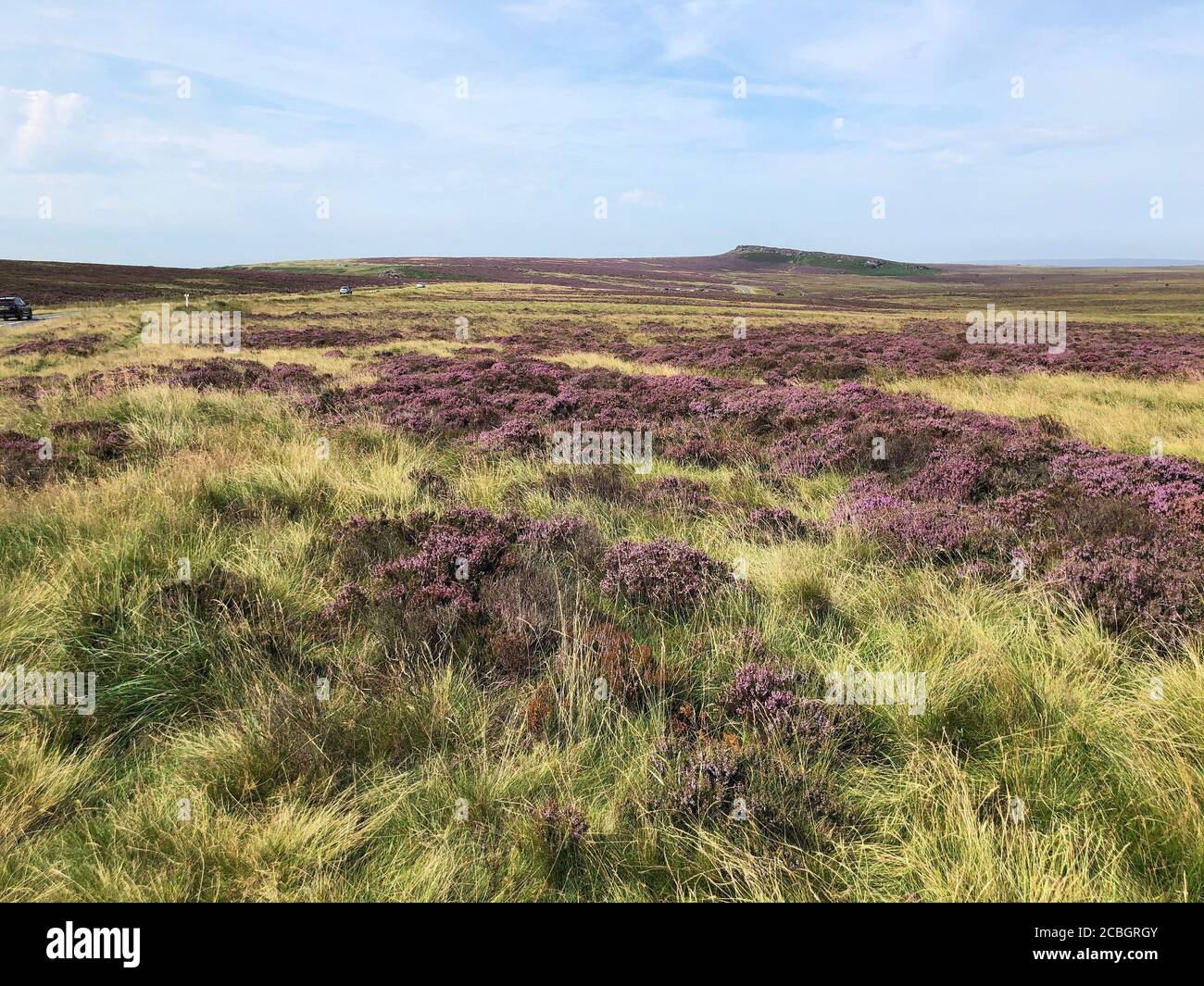 Burbage Moor with a view to Stanage Edge with the heather in bloom Stock Photo