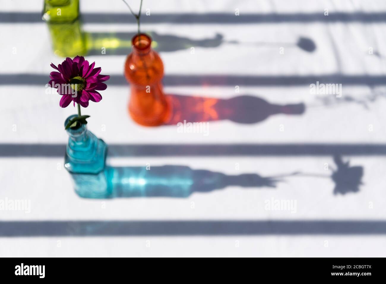 Still life of flowers in colourful blue, orange and green glass bottles on a hot summer day with a white background on a picnic table Stock Photo