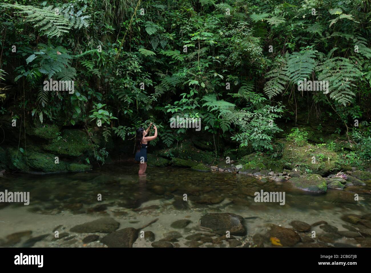 A woman photographing some plants with her cell phone inside a river at the Atlantic Rainforest of Ubatuba, SE Brazil Stock Photo