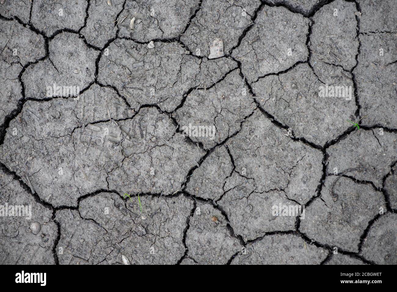Cracks in dry clay soil hi-res stock photography and images - Alamy